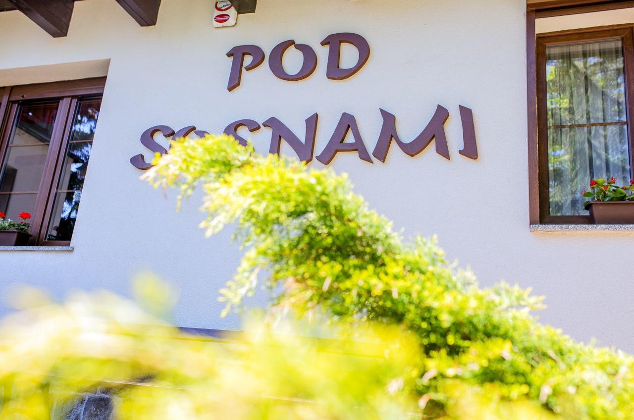 Pokoje Goscinne Pod Sosnami カルパッチ エクステリア 写真